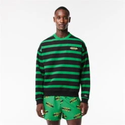 Lacoste Loose Fit 3D Print Striped Jumper
